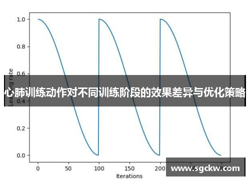 心肺训练动作对不同训练阶段的效果差异与优化策略